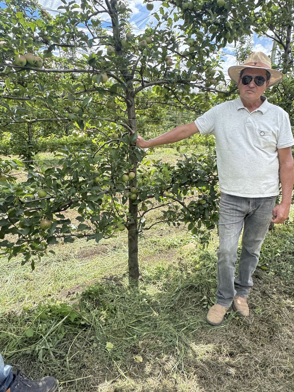 Produtor de maçã ao lado de macieira carregada de frutos em pomar de São Joaquim (SC)