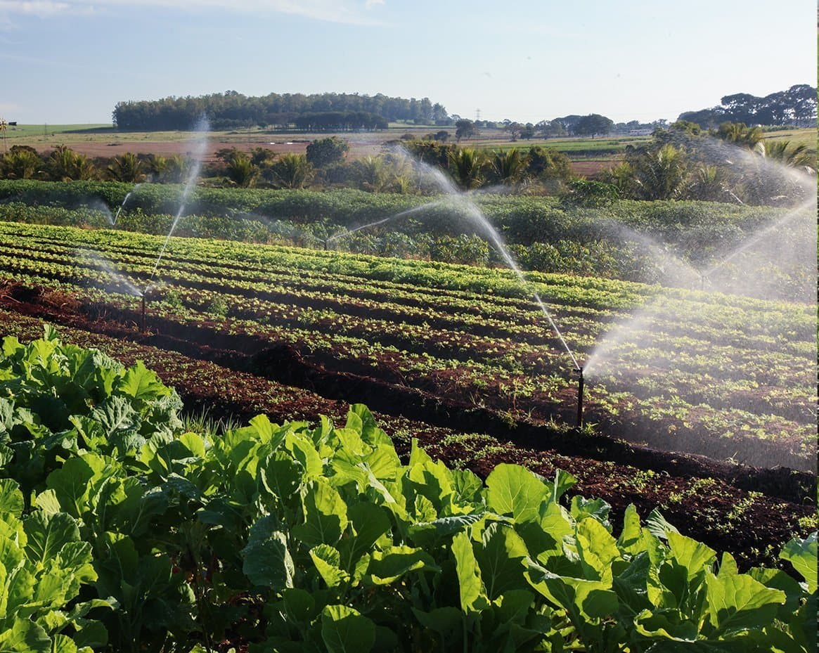 Sistema de irrigação por aspersão em cultivo agrícola